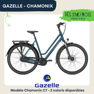 Vélo de ville en vente dans notre magasin de vélos à Tours centre